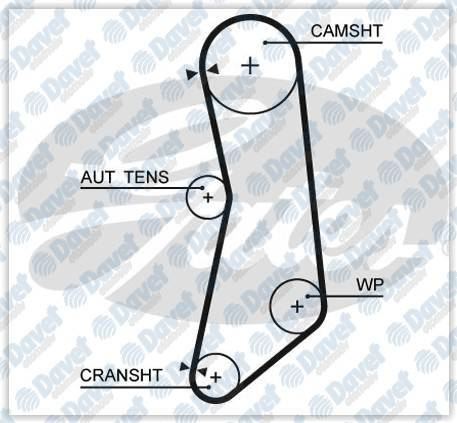 ALLES KIT 466/3 Eksantrik Rulman Kiti Triger Seti Ford Ka 1.2 08-> Albea Doblo Idea Linea Panda Punto Palio Siena 1.2 8v / 1.4 05-> Dayco Kayis+Alt Rulman 129p8rd220h
